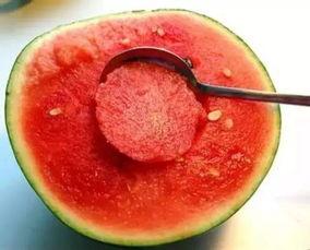 娱乐吃瓜酱江浙沪,揭秘娱乐圈幕后故事 第3张 娱乐吃瓜酱江浙沪,揭秘娱乐圈幕后故事 第3张